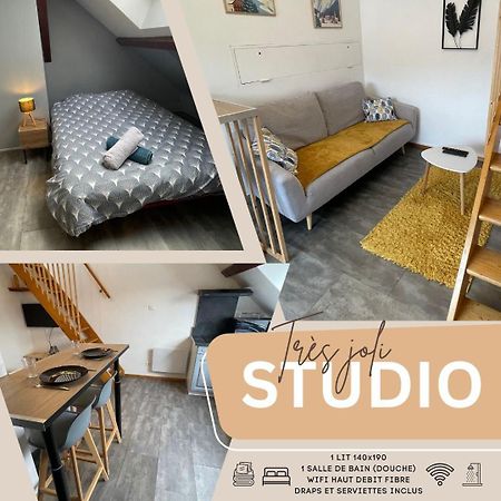 Superbe Studio A Proximite Du Centre-Ville Saint-Die-des-Vosges Εξωτερικό φωτογραφία