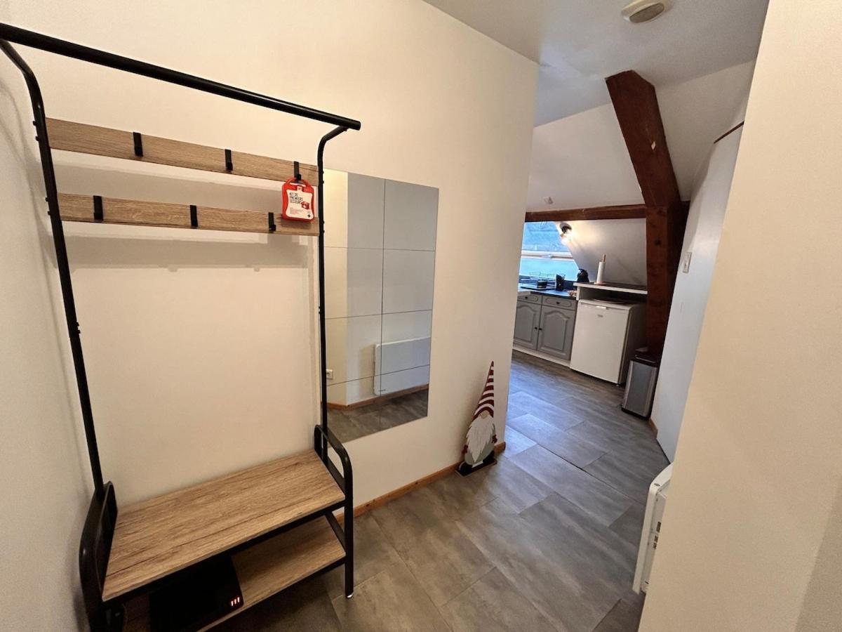 Superbe Studio A Proximite Du Centre-Ville Saint-Die-des-Vosges Εξωτερικό φωτογραφία