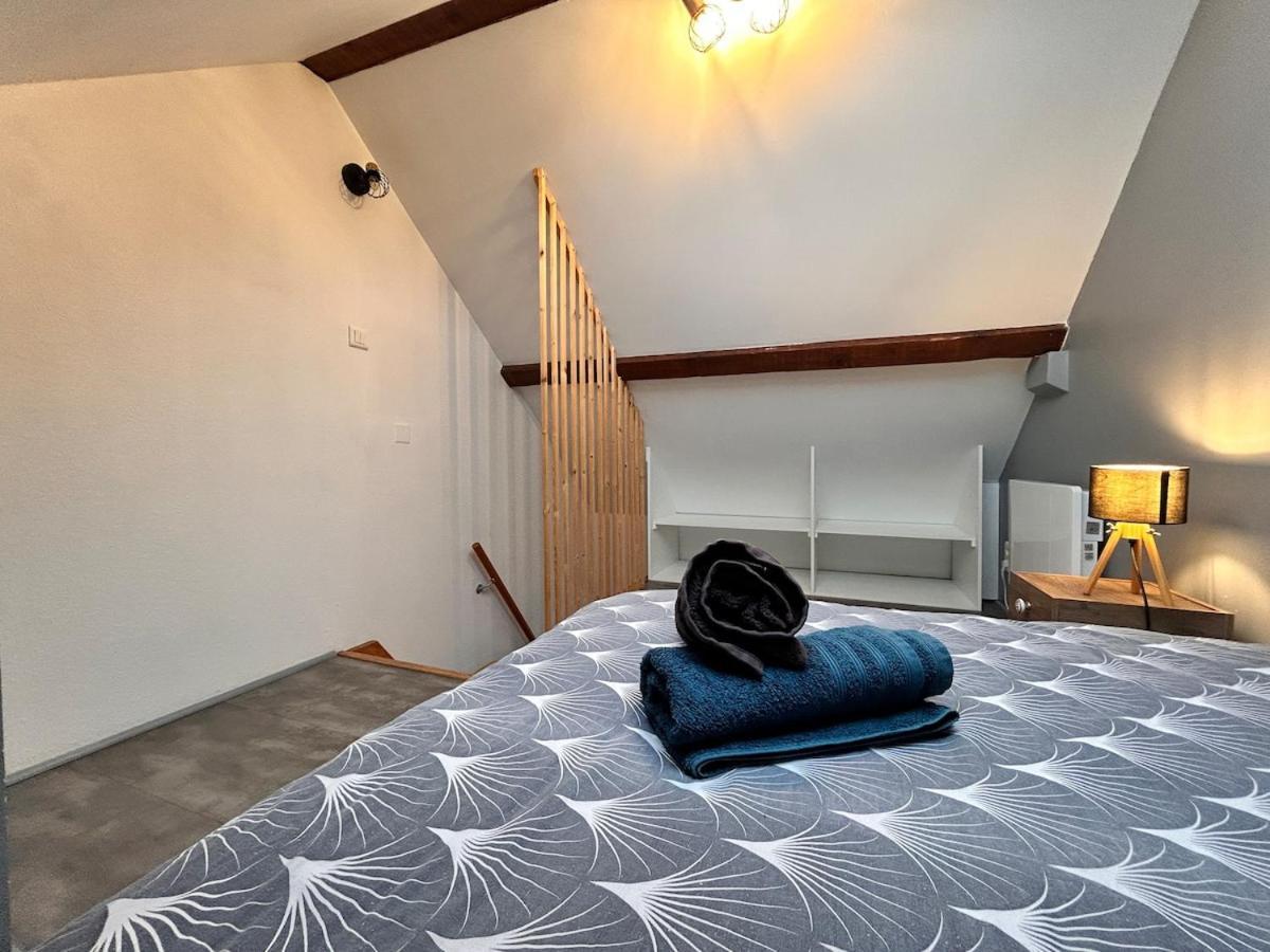 Superbe Studio A Proximite Du Centre-Ville Saint-Die-des-Vosges Εξωτερικό φωτογραφία